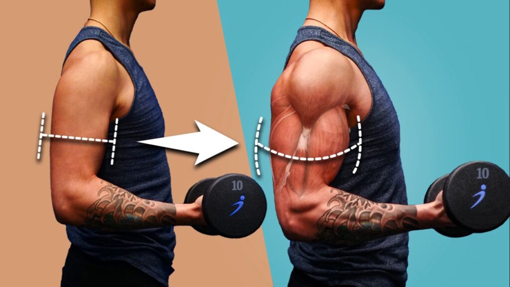 How to Apply Progressive Overload