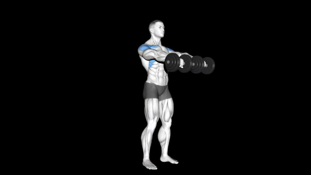 What is the Dumbbell Front Raise