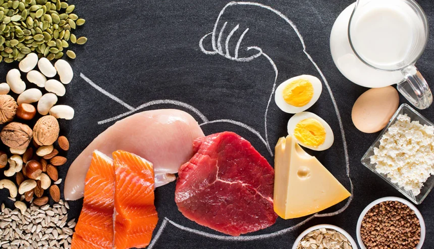 best protein sources for muscle gain